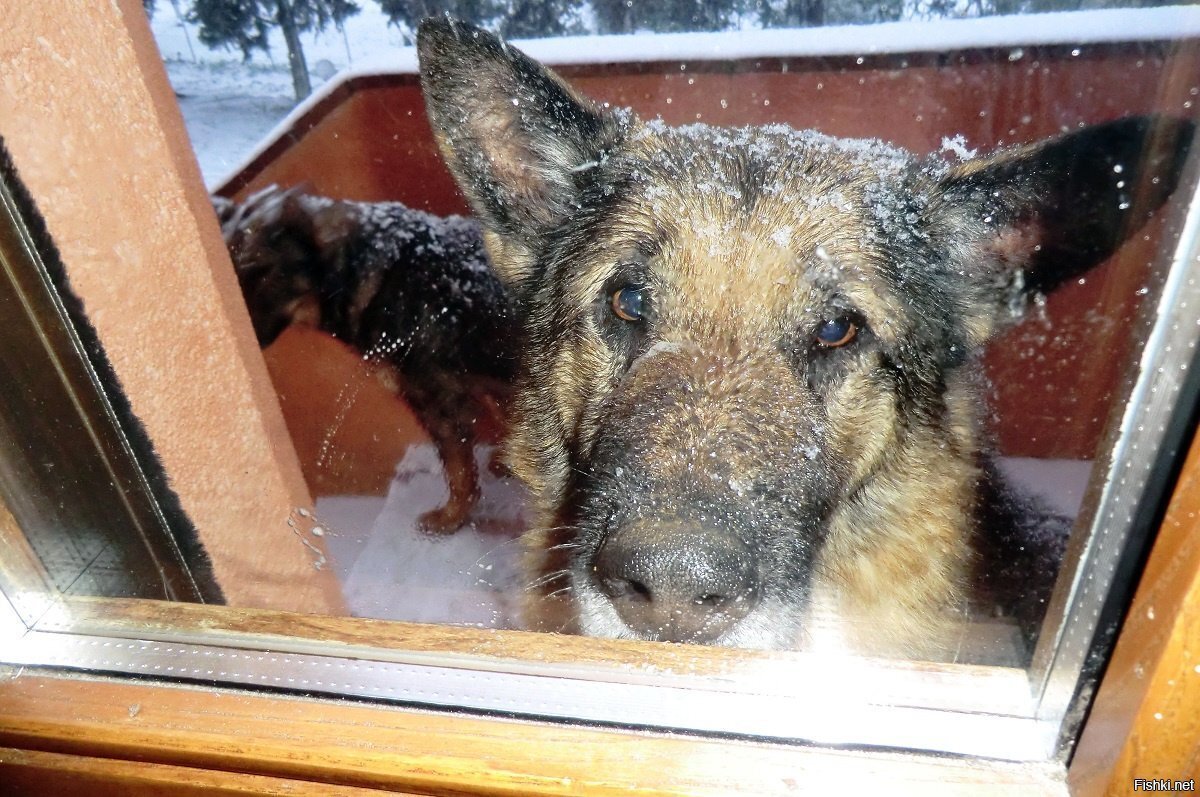 Завтра похолодает 