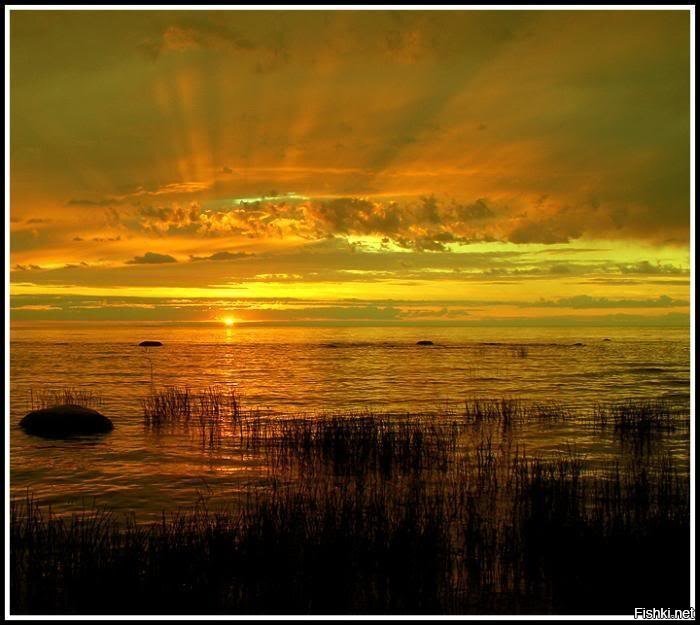 С добрым утром