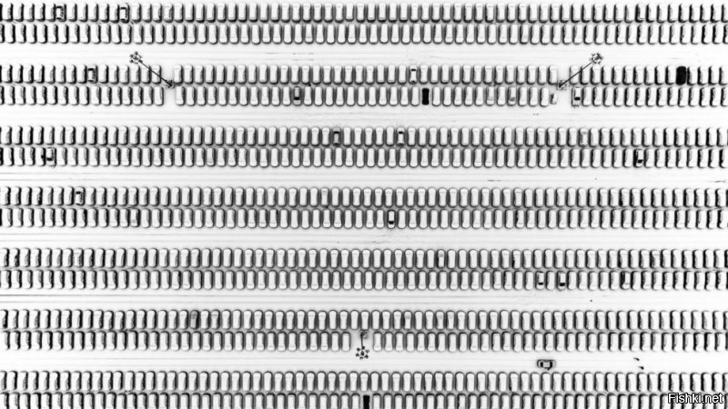 Это еще что