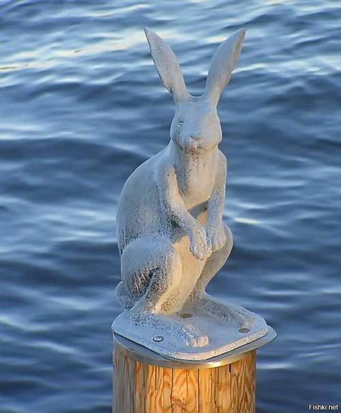 Санкт–Петербург