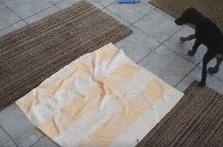 Перезагрузка