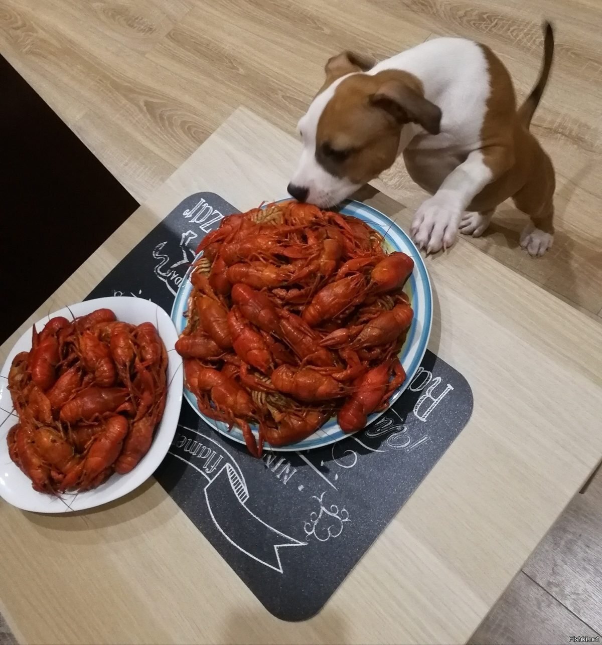 о,креветочки