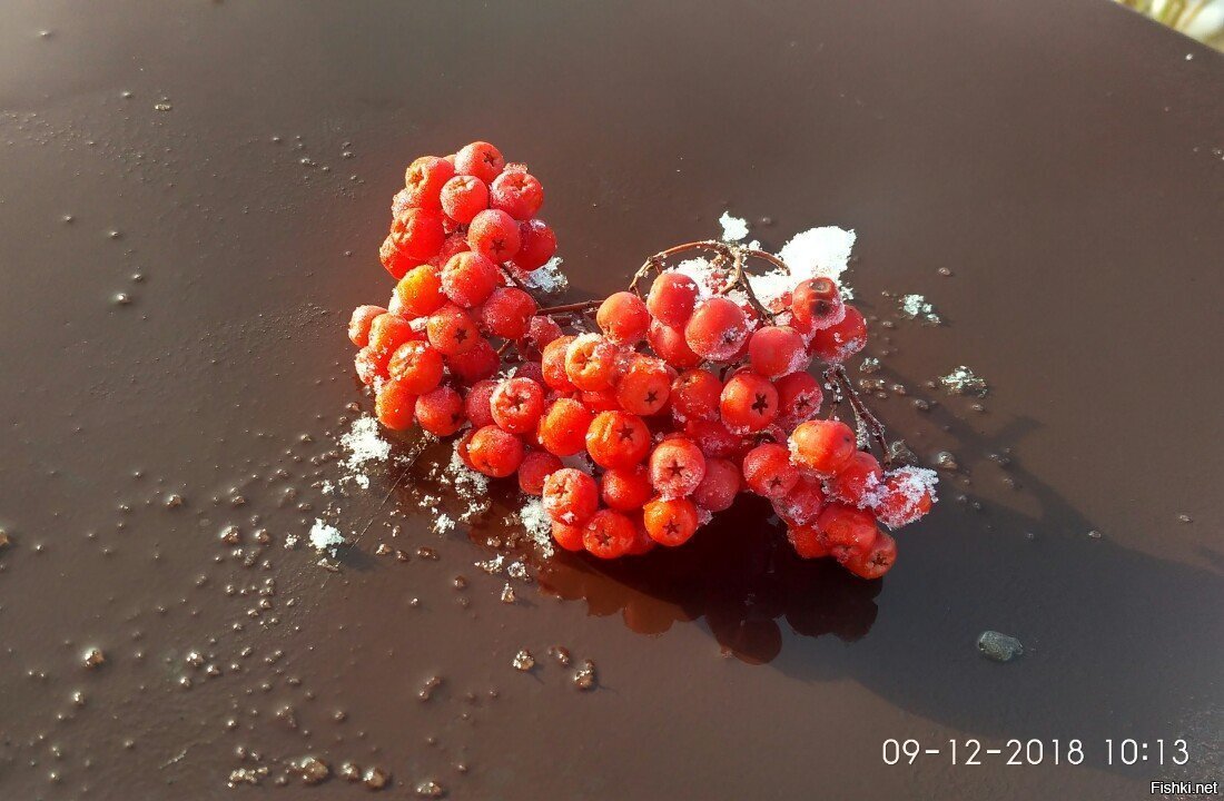 На вчерашней прогулке