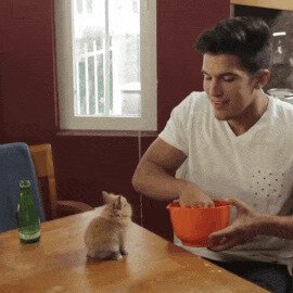 Когда твой лучший друг нашёл себе другого друга