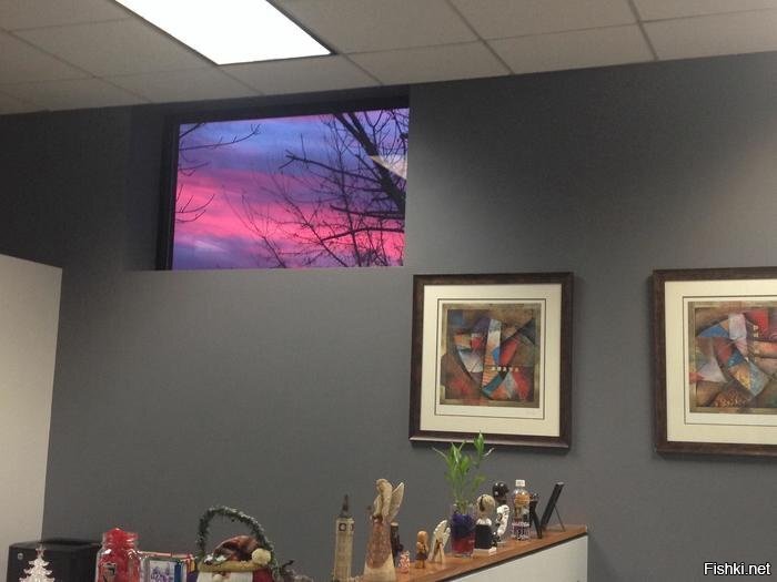 Когда лучшая картина - это окно