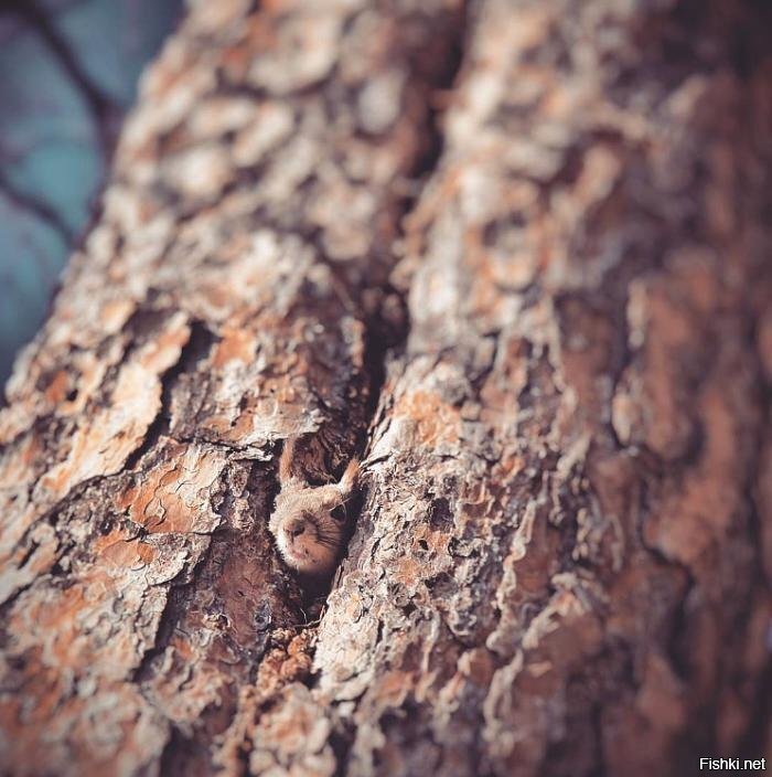 Знаете, я чувствую себя несколько зажатой при незнакомцах