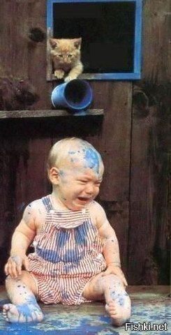 Месть котейкина