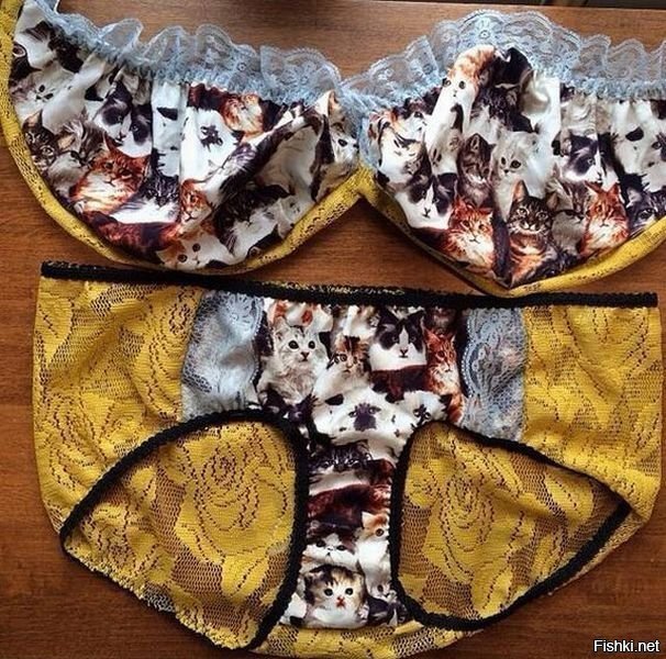 дай погладить твою киску