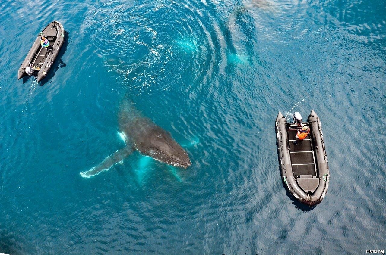 Третьим буду