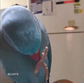 Когда накричала на него без причины и хочешь помириться