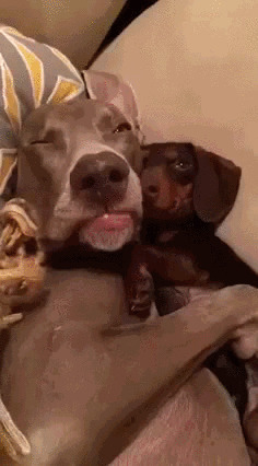 Доброго утра