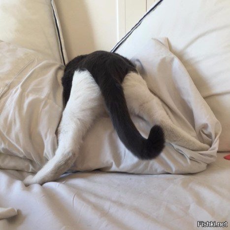 Хожу ли я на работу