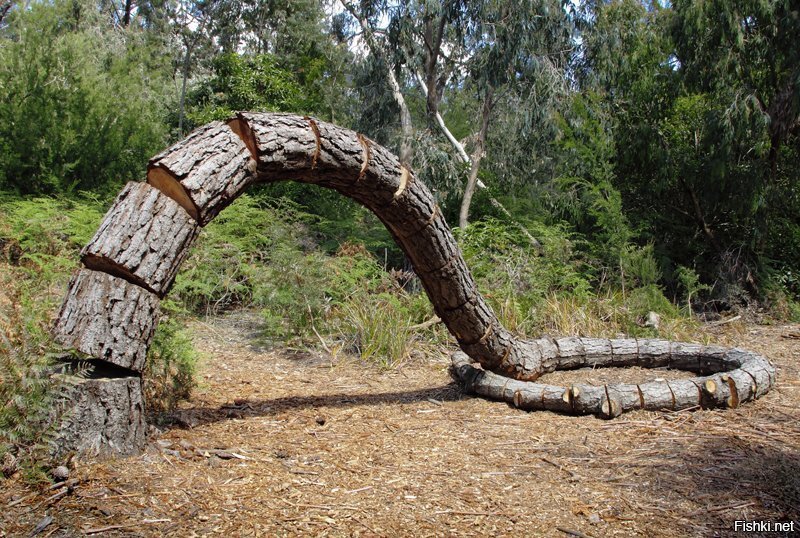 Грамотный распил