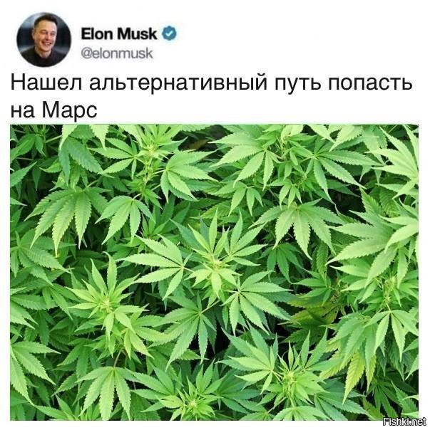 Гораздо дешевле
