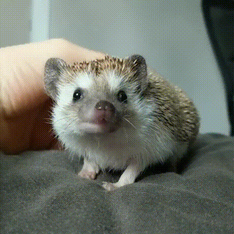 21:00- Надо лечь пораньше