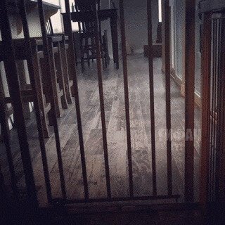 - Хм, странные, зачем-то заборчик поставили