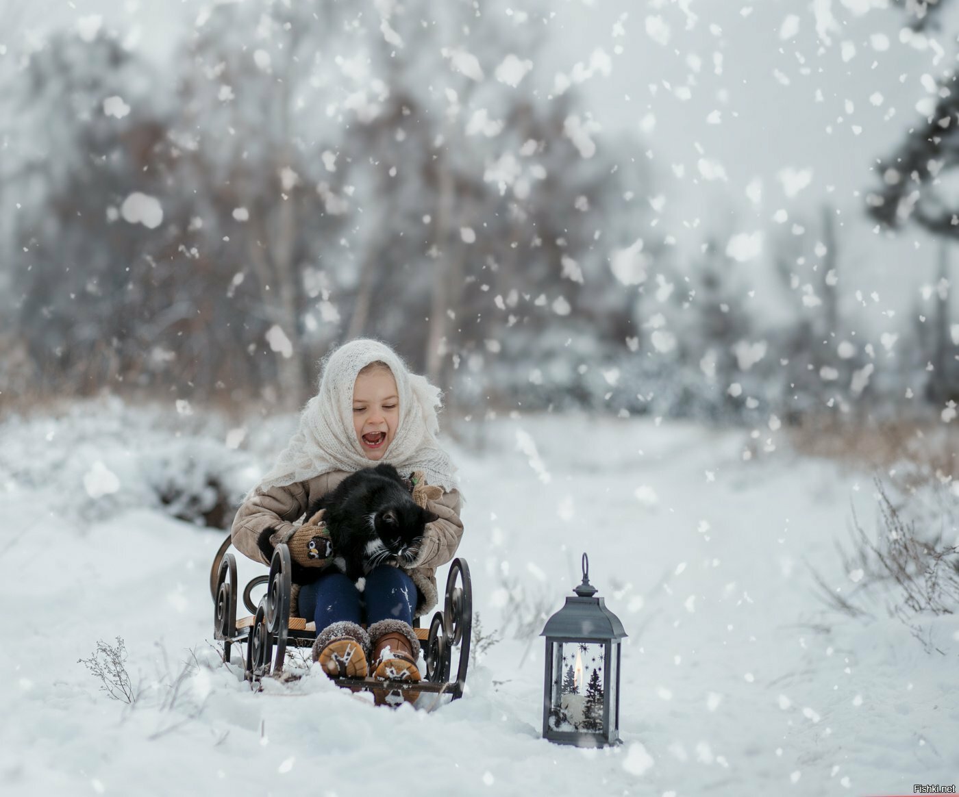 У меня пропала кошка, а зовут ее Матрешка