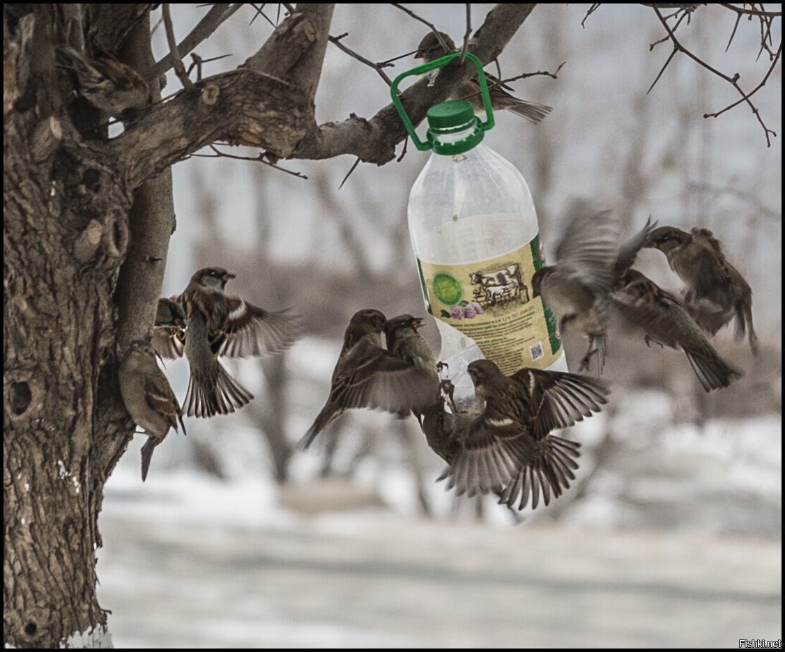 Есть хочется