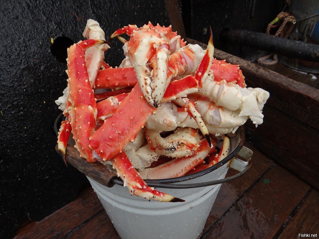 Камчатские куры