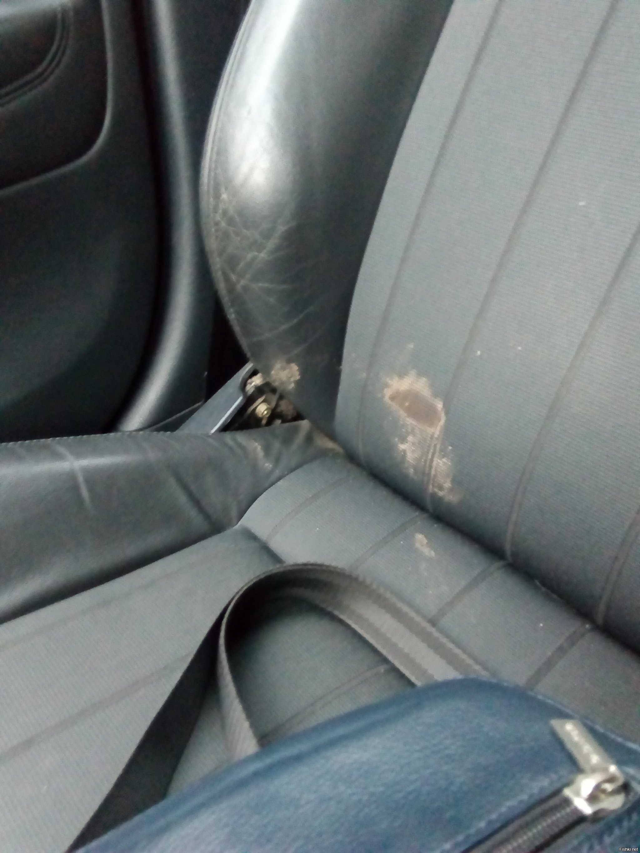 Подвёз человека