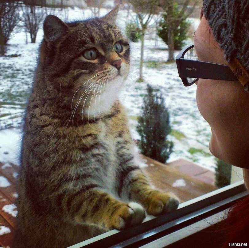 домой пусти дура