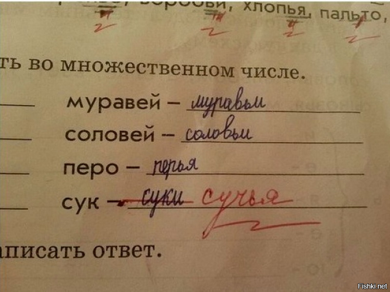 Солянка