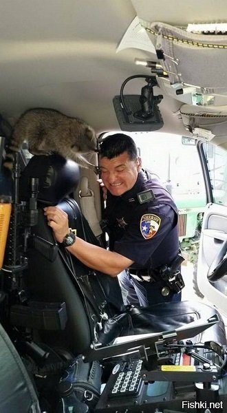 -Я есть Грут