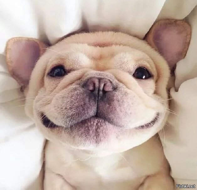 Улыбнитесь)