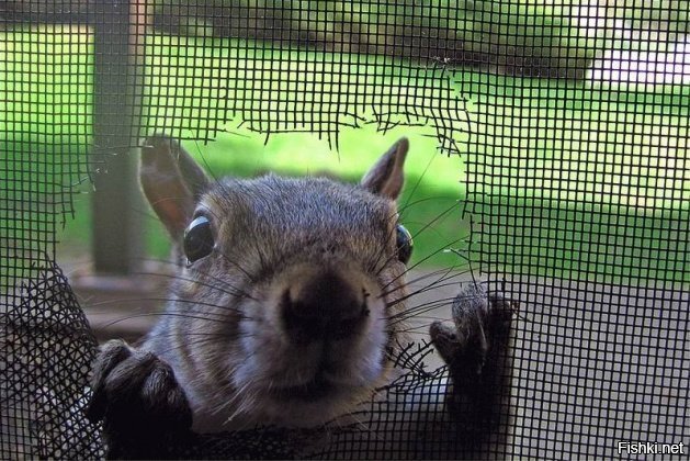 Завтра маленькая пятница