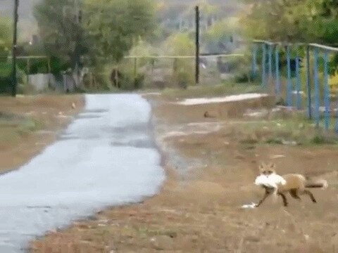 ...называется - нашёл...