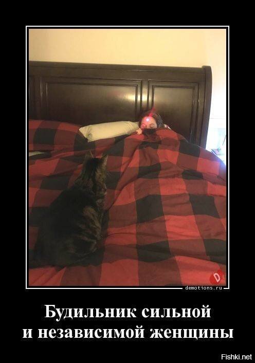 С добрым утром