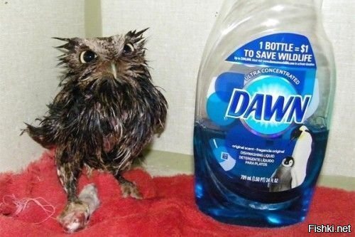 Так БЛЭТ,кто это сделал