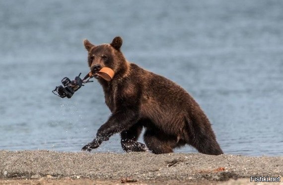 Интересно,куда он дел фотографа