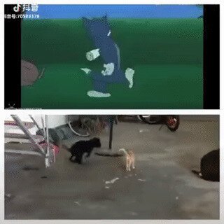 Тот редкий случай, когда Ожидание = Реальность