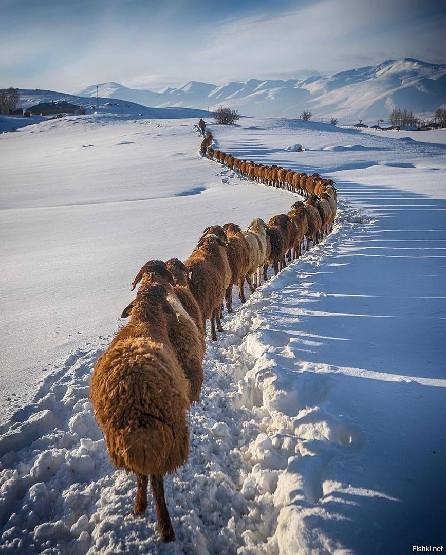 - Что там, заснули чтоль