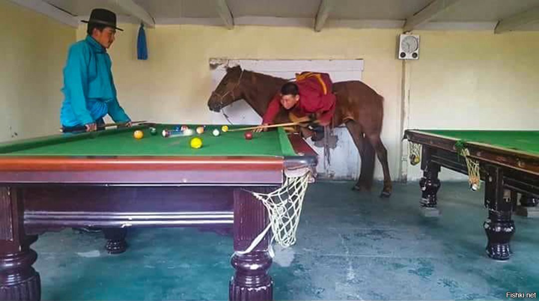 Монгольский бильярд