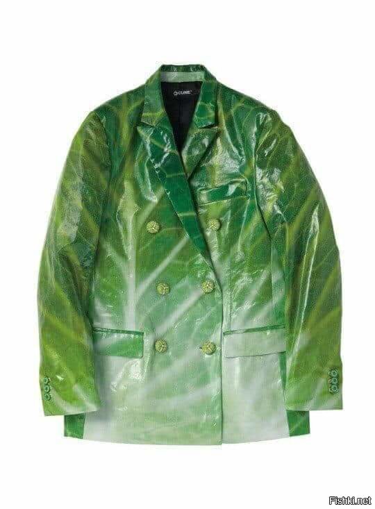 Пусть все знают,что ты ´´голубец``