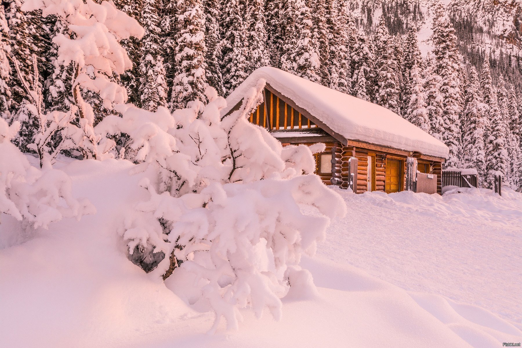 У леса на опушке жила зима в избушке