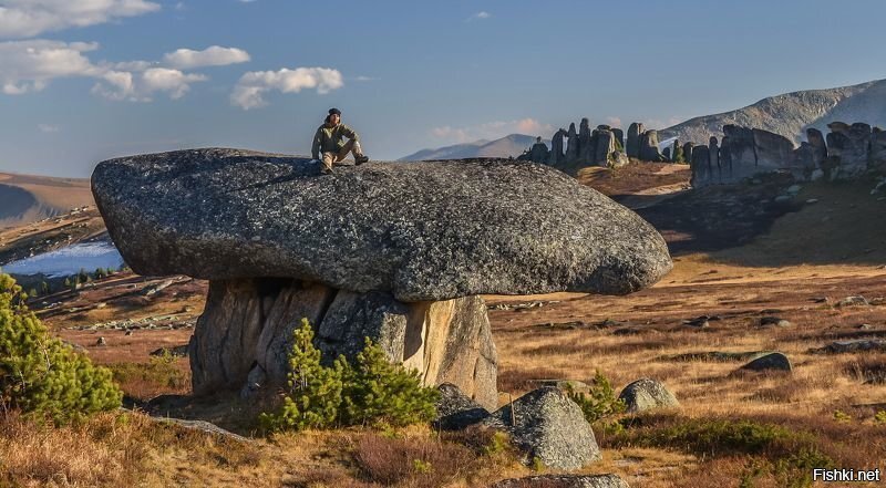 Грибочки пошли