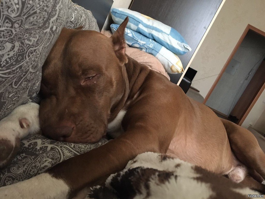 хочу пятницу