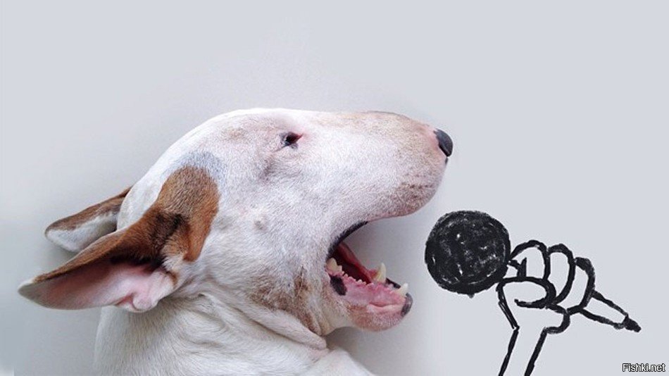 Сутулая на корпоративе)))