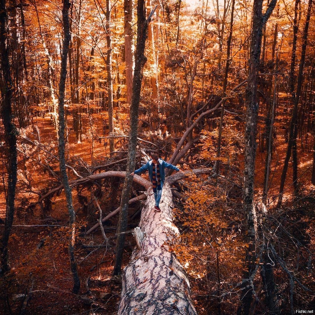 Ваши тропы — у вас под ногами