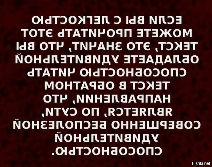 Когда выпьешь, быстрее читается
