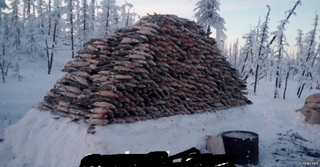 Рыбалка в Якутии