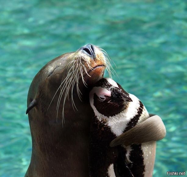 Доброе всем