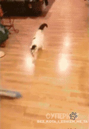 И весело и с пользой