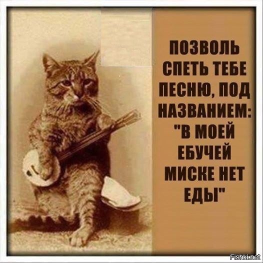 Утренние романсы)