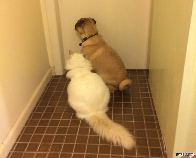 «Как разнюхать то, что мы тут унюхали