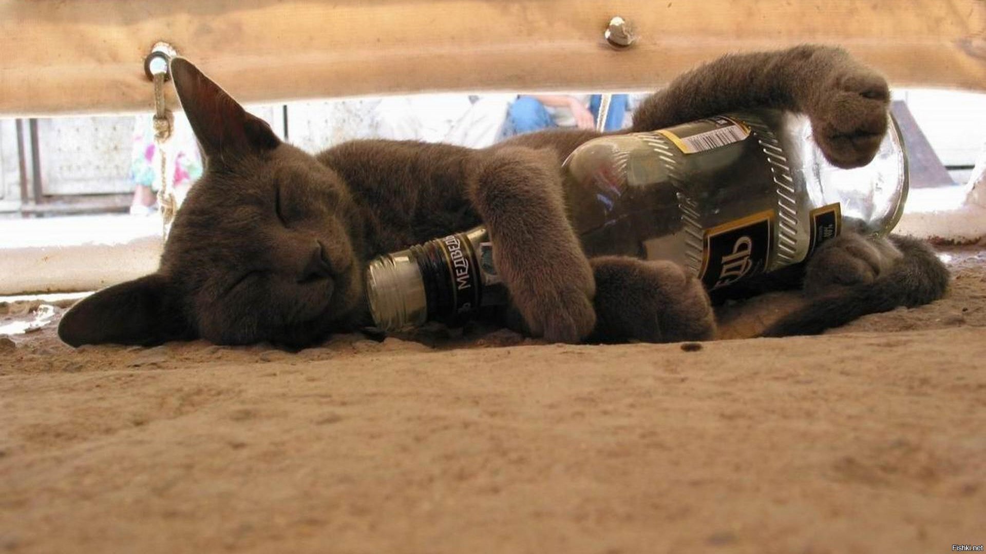 Мечты о пятнице