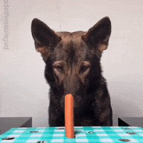 Нету ручек - нет сосиски